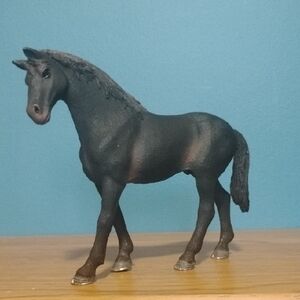 English Thoroughbred Stallion